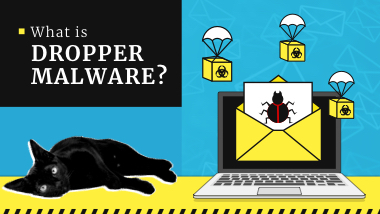 What is a Trojan Dropper Malware? Attacks Examples in 2024